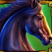 Mustang Gold: Schwarzes Pferd