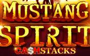 Mustang Spirit Cash Stacks