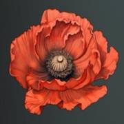 Mystery Garden: Die Blume ist rot
