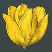 Mystery Garden: Die Blume ist gelb
