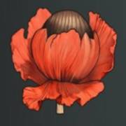 Mystery Garden: Rote Knospe
