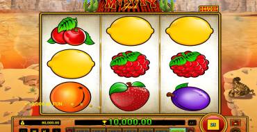 Mystery Jack Deluxe: Gewinne