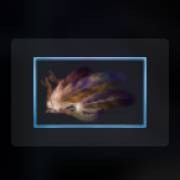 Mythic Wolf Sacred Moon: Federn