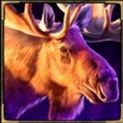 Night Wolf — Frostbite Fury: Elch