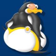 Northern Boom: Pinguin