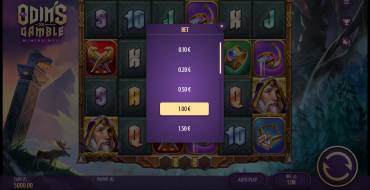 Odin's Gamble: Die Wette