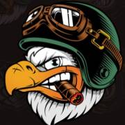 Outlaws Inc: Falke
