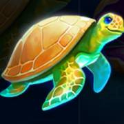 Pearl Diver 2: Treasure Chest: Schildkröte
