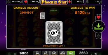 Phoenix Star: Risiko-Spiel