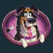 Piggy Bank Farm: Hund