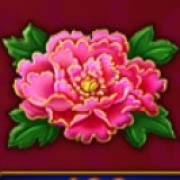 Plenty Dragons: Blume