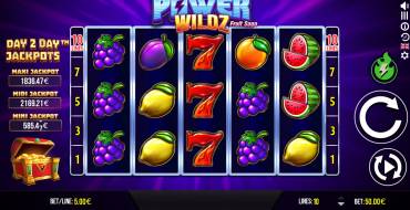 Power Wildz Fruit Saga: Schnittstelle
