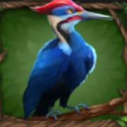 Primal Wilderness: Vogel