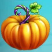 Pumpkin Patch: Kürbis