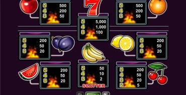 Purple Hot: Regeln