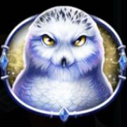 Queen of Ice: Eule