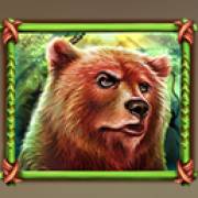 Raging Bison: Bär