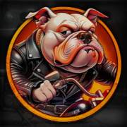 Rebel Paws: Bulldogge