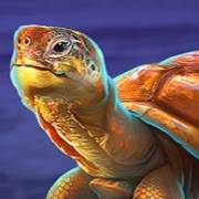 Red Hot Volcano: Schildkröte