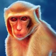 Red Hot Volcano: Affe
