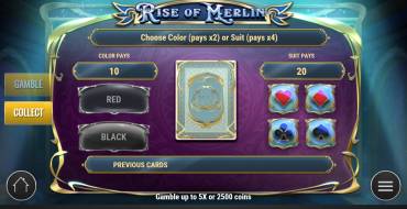 Rise of Merlin: Merkmal Glücksspiel