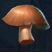 Rocco Gallo: Pilz