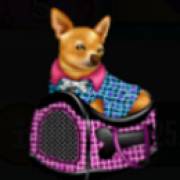 Rodeo Drive: Hundesymbol