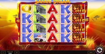Safari Dream: Regeln