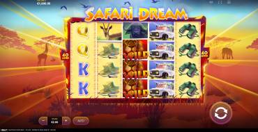 Safari Dream: Schnittstelle