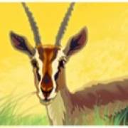 Safari Dream: Antilope