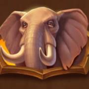 Safari of Wealth: Elefant