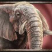 Savanna Roar: Elefant