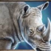 Savanna Roar: Nashorn