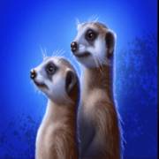 Savannah Legend: Erdhörnchen