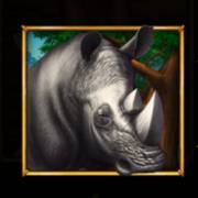 Savannah's Queen: Rhinozeros