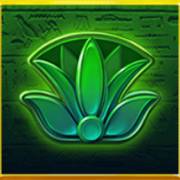 Scarab Boost: Blume