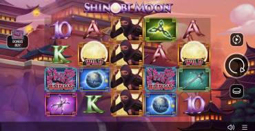 Shinobi Moon: Spielautomat