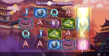 Shinobi Moon: Frispin-Boni