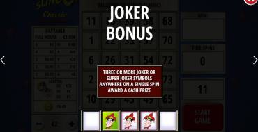 Slingo Classic 20th Anniversary: Bonus Spiele