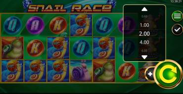 Snail Race: Wetten
