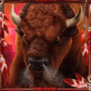 Spirit of the Beast: Büffel