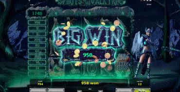 Spirits of the Valkyrie: Gewinne