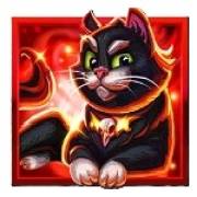 Stampede Rush Wicked: Katze