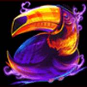 Star Watch Jungle: Pelikan