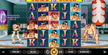 Street Fighter II: The World Warrior: Schnittstelle