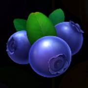 Stunning Crown 100: Blaubeeren