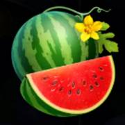 Stunning Crown Cash Mesh Ultra: Wassermelone