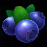 Stunning Crown Cash Mesh Ultra: Blaubeeren