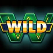Super 50 Stars: Wild