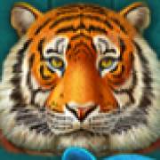 Super Cats: Tiger